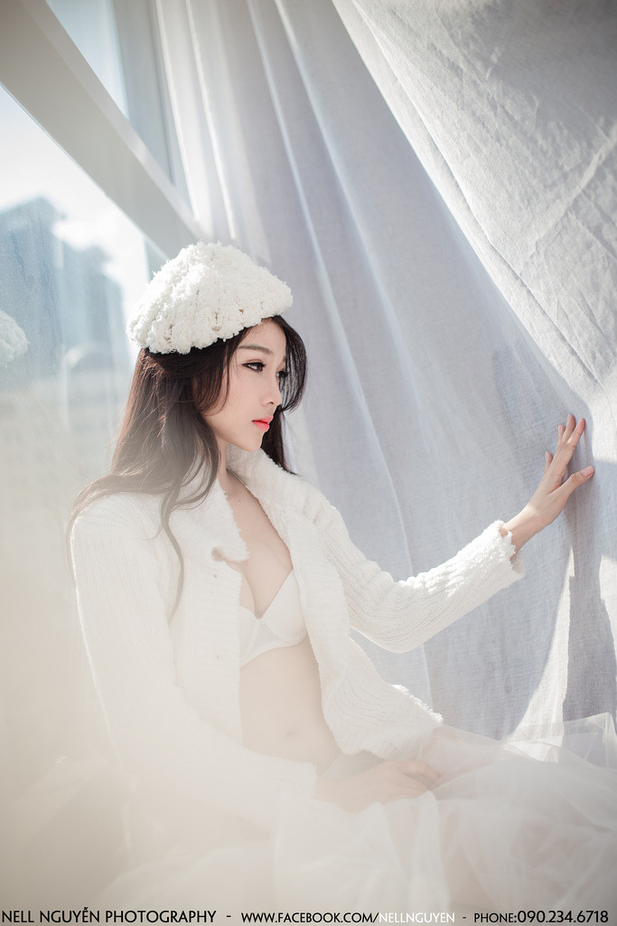 2024新杨门女将电视剧